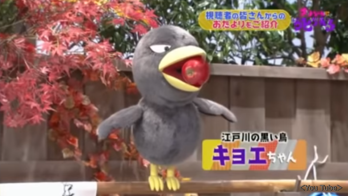 キョエちゃんの「はじめてのお仕事」報告!今後も貸出自由